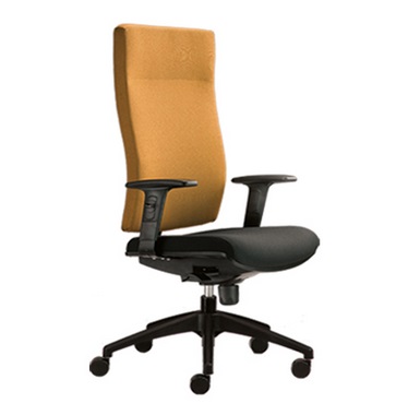 Office Executive Chair Model : BR320F-20D48