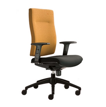 Office Executive Chair Model : BR321F-20D48