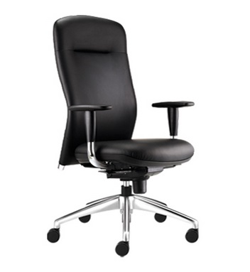 Office Executive Chair Model : BY330L-10D42