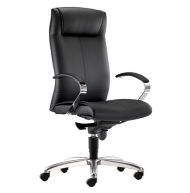 Office Executive Chair Model : ZY360L-12S50